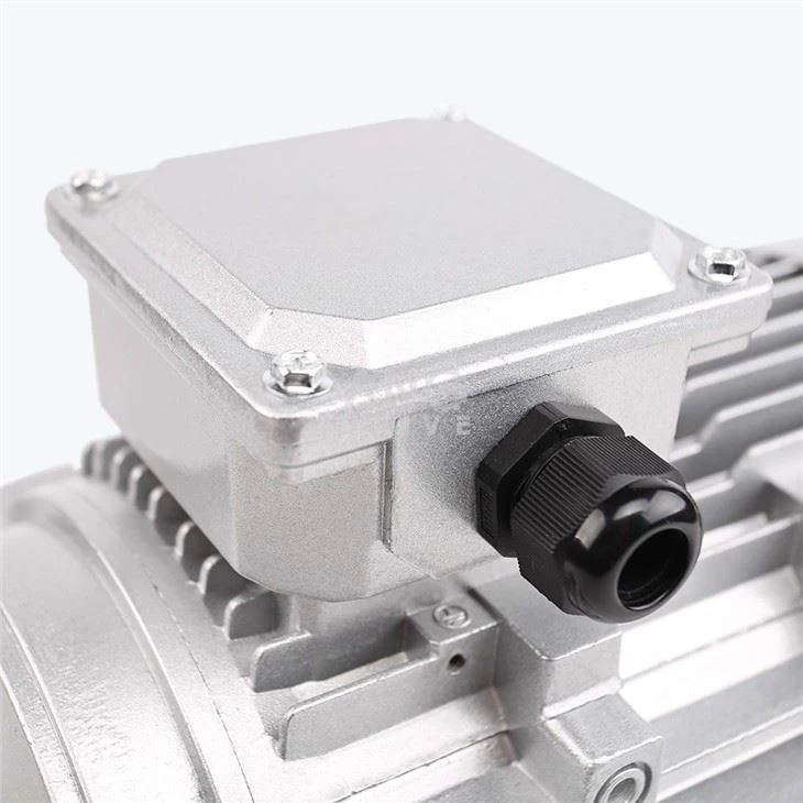 AC Induction Motor