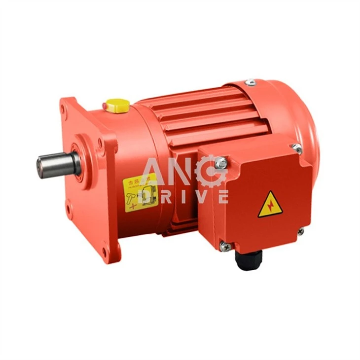 electric motor gear reducer