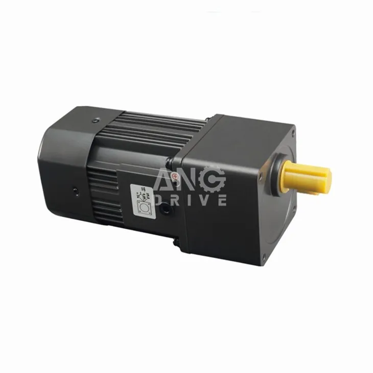120w Induction Motor