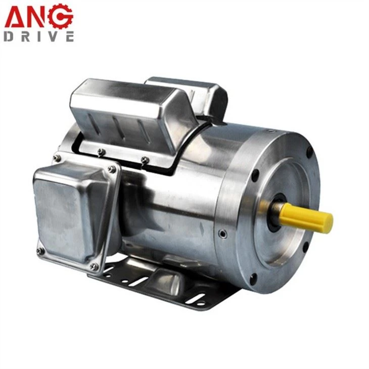 IEC Stainless Steel Motor