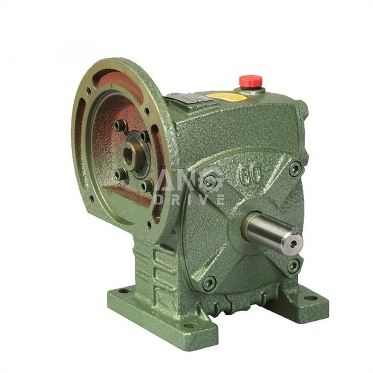WPDS gear box